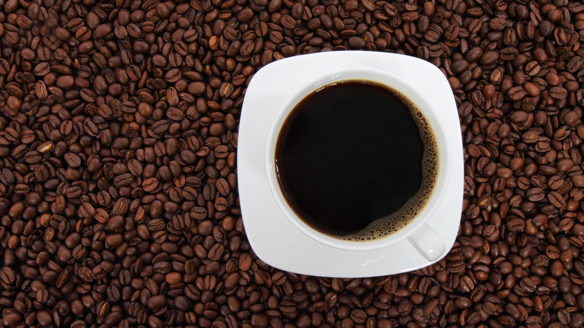 Quel type de cafetière choisir ?