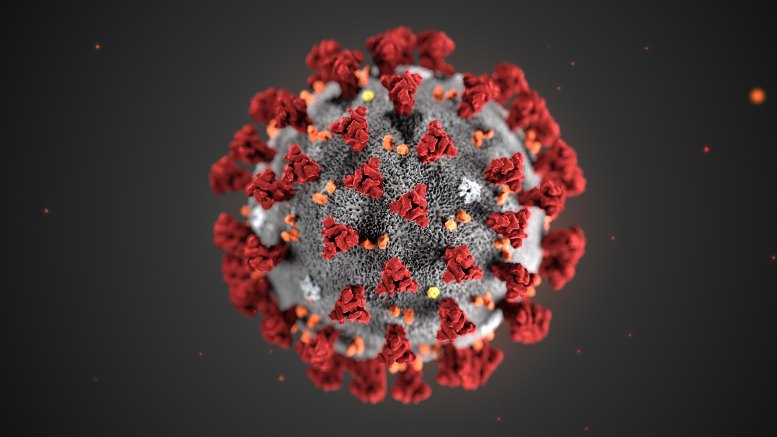 Virus de la Couronne : c’est ce que toute personne qui a subi