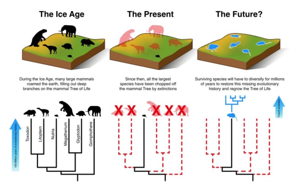 6 façons dont notre espèce pourrait survivre à la 6e extinction de masse