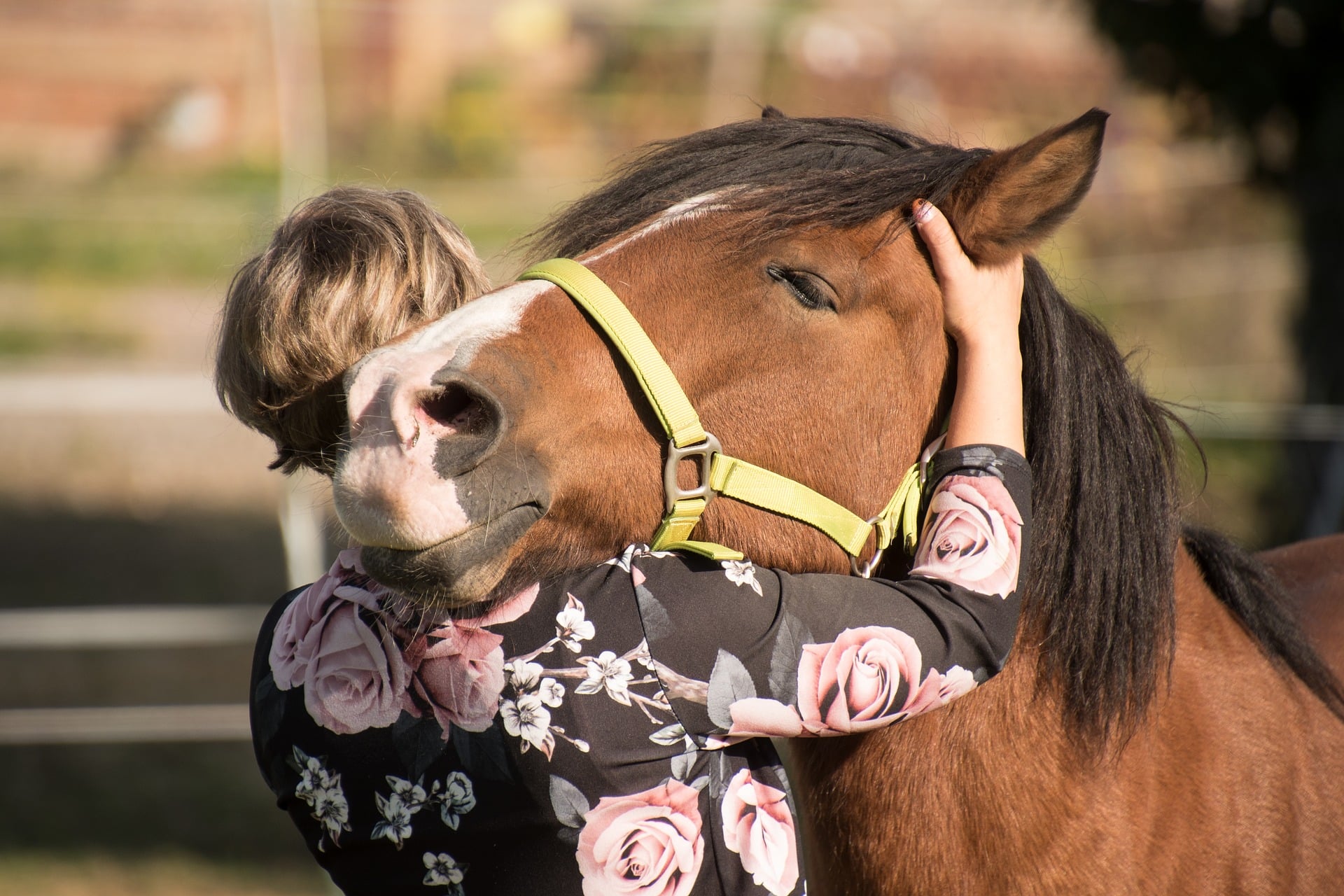 Une-therapie-equine