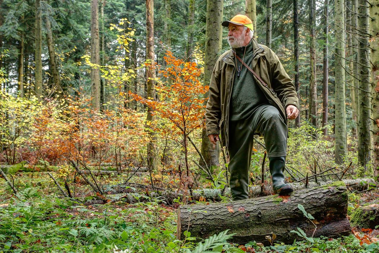 périodes ouverture chasse en France